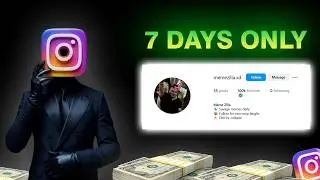 I Created a Meme Page on Instagram for 7 Days &mdash; Here's What Happened 📈
