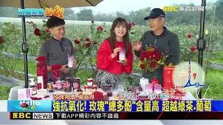 【淑麗趴趴GO】花開富貴迎新春！ 有機玫瑰目前花大、品質佳@newsebc