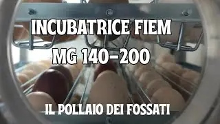 Scopri con noi la nuovissima incubatrice Fiem MG 140/200 