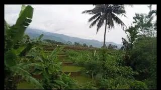 DJ TIKTOK TERBARU 2025||DJ KAU BUAT KU MENANGIS PILU🎵DJ KINI TINGGAL KENANGAN FULL ALBUM