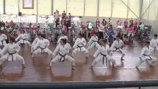 Exhibición Gerindote 11/04/2015 Kata Geki Ha