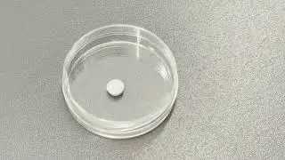 Tablet-based vaccine prevents urinary tract infections in mice