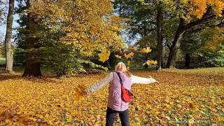 4K Золотая осень в парке  _  Golden autumn in the park