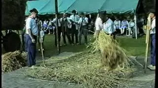 Lichtaartse Kloppers 1987 nationaal kampioenschap vlegeldorsen in Planckendael Muizen