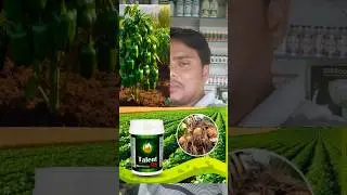 amino acid ka kamal Paidabade dugni karne ki dhamal|talent amino acid|amino acids#shortvideo#talent
