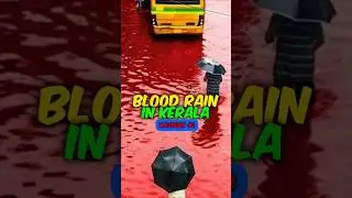 RED RAIN in KERALA? | IndiaWithHarsh #redrain #bloodrain #keralarain