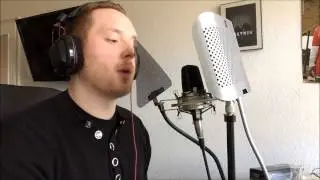 Marteria - Alt und Verstaubt COVER by Delyrik
