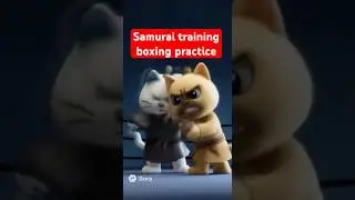 Samurai training : Boxing ||Samurai Cat Brothers #samurai #cat #samuraicats #boxing #shorts