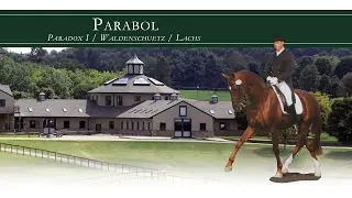 Parabol (Paradox - Waldschuetz)