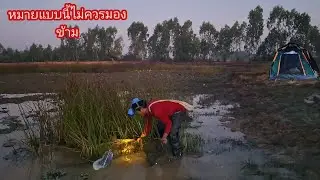 ปักเบ็ดหมายเซียนแห น้ำแบบนี้ไม่ควรมองข้าม เดินกลับยังติด ปลาช่อนไซส์สวยๆ