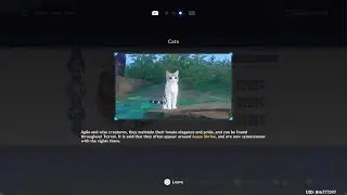 PHOTOGRAPH CATS DOGS BIRDS TOUR DE FORCE Genshin Impact