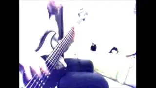 Envision The Divide | Kingdom Of Sorrow [Bass Cover]