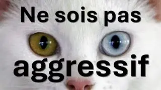 Outil de négociation - Ne sois pas agressif