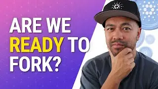Готовы ли мы к хардфорку Cardano Chang? Новости Cardano ADA