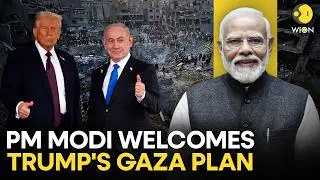 World Backs Trump&rsquo;s Gaza Plan? Key Muslim Nations Voice Support | WION Originals
