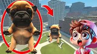 Мой дрон ловит меня, я Пибл, помой мой живот в реальной жизни в Garry's Mod