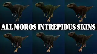 ALL FEMALE MOROS INTREPIDUS SKINS in Jurassic World Evolution 3 | 4K Showcase 🦖