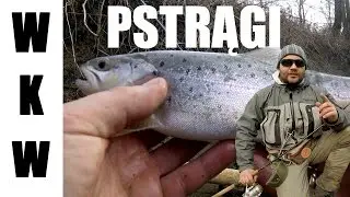 Pstrągi na spinning| Łowienie pstrągów na małej rzece| Pstrąg na jiga| Wędkarstwo