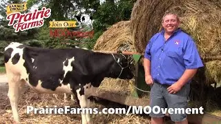 Prairie Farms Udder Hill Dairy | Farm To Store In 48 Hours