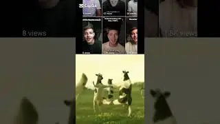 DON'T CLICK THE SOUND 😂 #shorts #short #shortsfeed #cowsound #cowsoundeffects