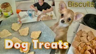 EASY DOG BISCUITS RECIPE | 2 INGREDIENTS | CHIHUAHUA