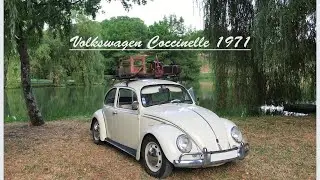 La Porsche Du Peuple ! VW COCCINELLE 🇩🇪