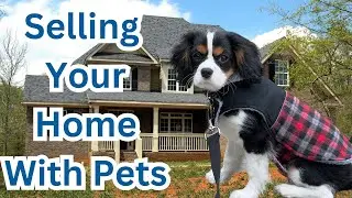 Navigating Home Sales with Your Pet Friends : Tips for Selling Home