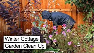 Cozy Winter Cottage Garden Clean Up & Making Bulb Lasagne