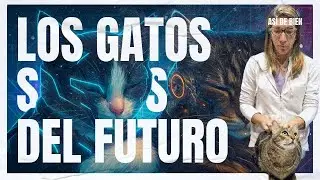 🐱 “El gato: la mascota del futuro. Hábitos, secretos y mitos que nadie te contó”