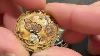 Beach Find возрождается