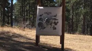 Excalibur Crossbow: Assassin Test