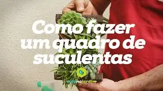 Como fazer um quadro de suculentas feat Paulo Xavier