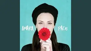 Quando incontri la bellezza