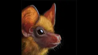 AoR Rustober Prompt #16 - Bat