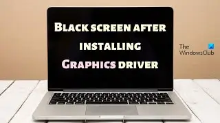 Черный экран после установки драйвера видеокарты в Windows 11 [Исправление]