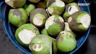 Coconut Processing In Bangkok! Awesome Coconut Cutting Skills