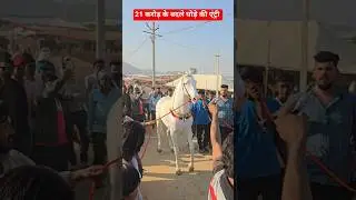 Pushkar Mele Mein 21 karod ke Badal Ghode Ki entry #pushkar #horse #pushkarmela2025