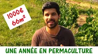 BILAN : UNE ANNÉE EN PERMACULTURE