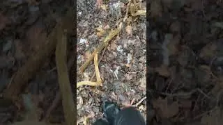boots in frozen mud
