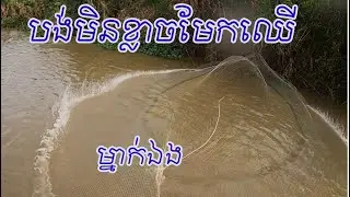 ម្នាក់ឯងក៏បានដែរ The Best Fishing Videos 2026 | #768
