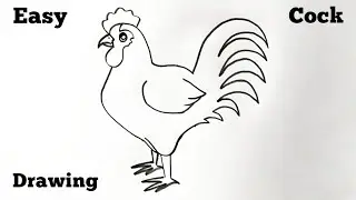 How to Draw a Cock | Easy Cock Drawing | Cock Draw with a Simple Way 