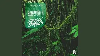 Jungle Visions