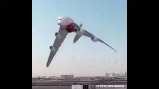 compilation avion-oiseau. dance dr&ocirc;le