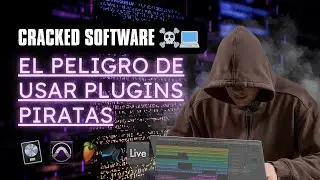 &iquest;Deber&iacute;as usar Plugins Piratas?
