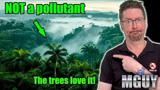 The Amazon LOVES more 