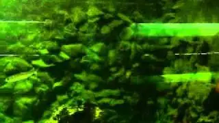 MOV02377