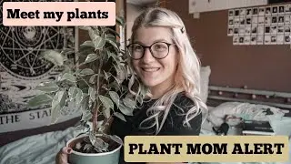 Plant tour {meet my lovely plants & how I care for them} l Dutch language l Happyandhealthywithnina