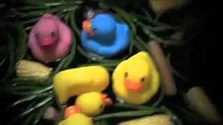 dinner video