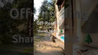 Off-roading through the heart of Sharan Forest🌲 
