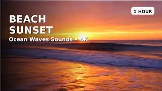 Beach Sunset 4K Ambient Wallpaper (1 hour) | Ocean Wave Sounds | Relaxing Background | HD Wallpapers